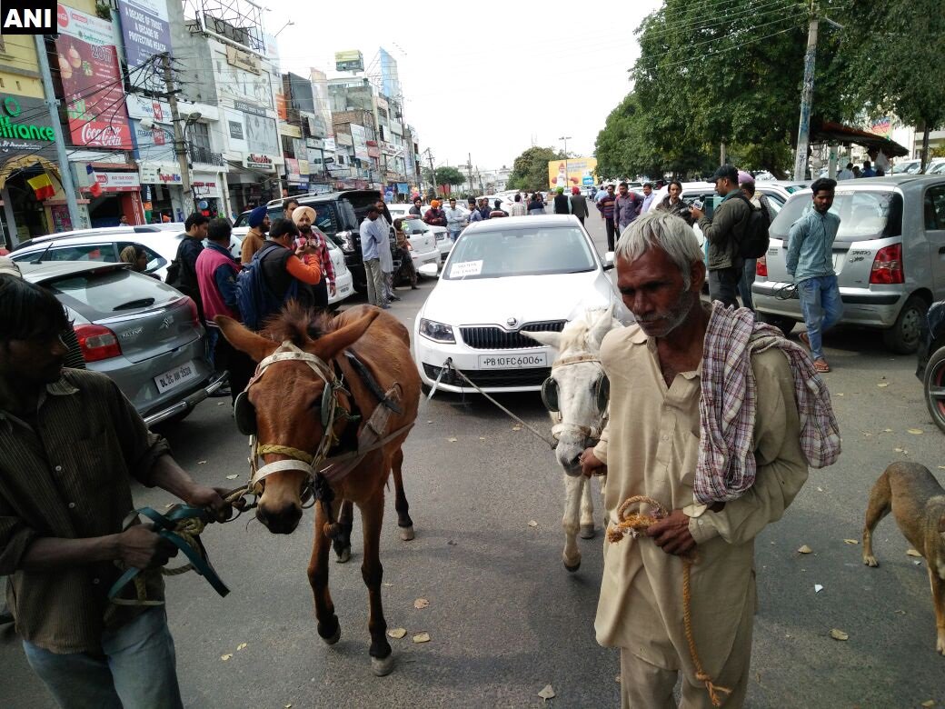 skoda-car-owner-ludhiana