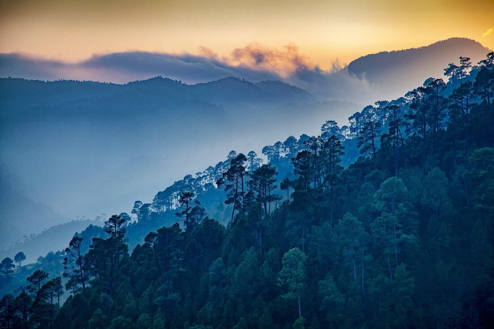 Ranikhet