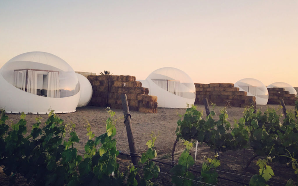 Bubble Suite